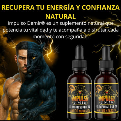 IMPULSO DMIR