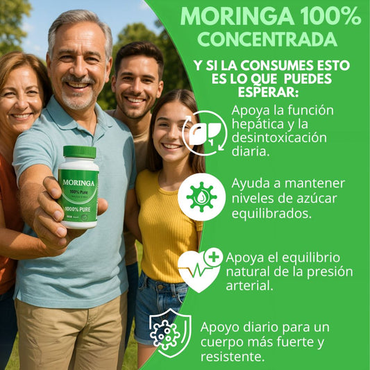 MORINGA EN CÁPSULA 100% CONCENTRADA